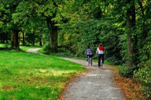 Die 10 schönsten Fahrradrouten in Brandenburg