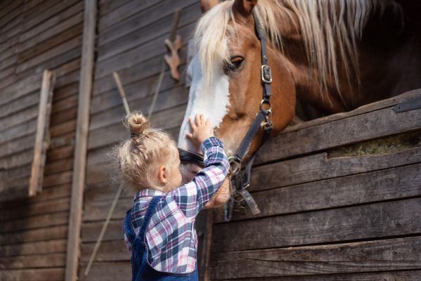 ein Kind streichelt ein Pferd