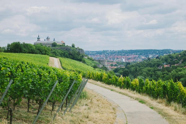 Weinberge mit einer Burg im Hintergrund