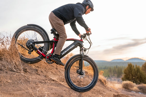 Mokwheel Obsidian: Vollgefedertes E-Mountainbike Tests 2025