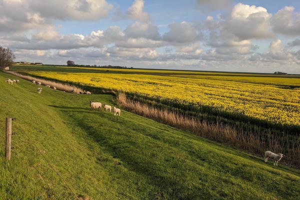 Die Nordseeküste entdecken: Natur, Weite und echte Küsten Momente Die Nordseeküste entdecken: Natur, Weite und echte Küsten Momente
