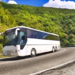 Bus Charter Germany: Die perfekte Wahl für Ihre Reisen Bus Charter Germany: Die perfekte Wahl für Ihre Reisen